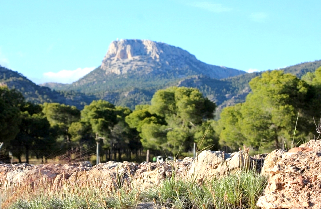 Cuatro asociaciones piden la dimisión del Alcalde de Mula como presidente del GAL Territorio Sierra Espuña